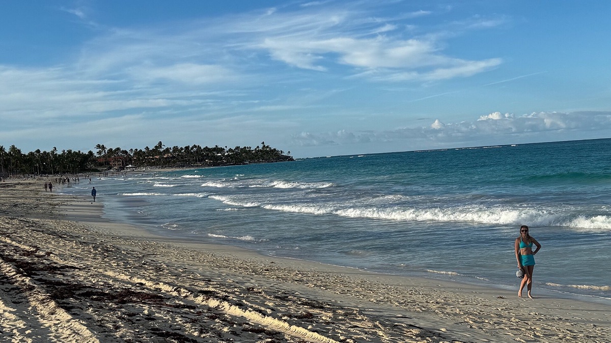 Waves and palm-lined shore at Playa Bávaro in Punta Cana