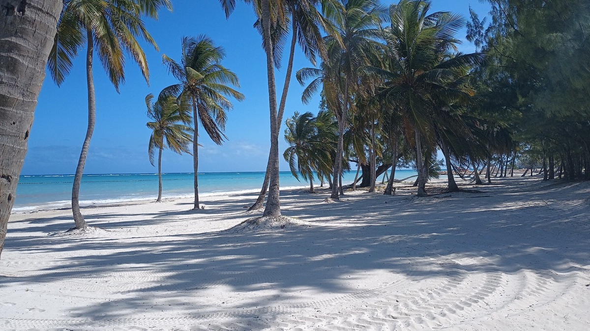 Palm-framed beach near Sanctuary Cap Cana in the Dominican Republic